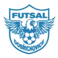 Futsal Dobřichovice