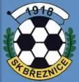SK Březnice 1918