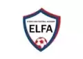 Eugen Link Football Academy