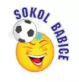 TJ Sokol Babice