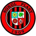 TJ Sokol Plasy