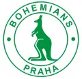 Bohemians 1905
