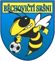 Běchovičtí sršni