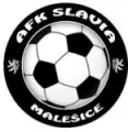 AFK Slavia Malešice