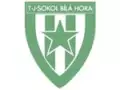 TJ Sokol Bílá Hora