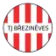 TJ Březiněves